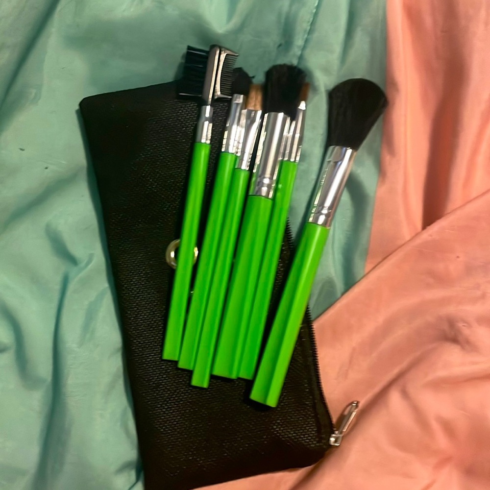 Makeup brush set and bag.